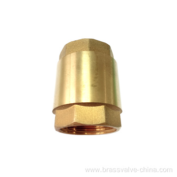 Brass spring check valves